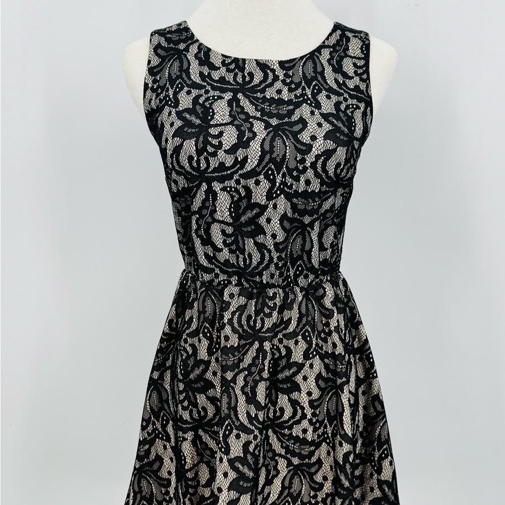 Three Pink Hearts Elegant Black Lace Dress, S